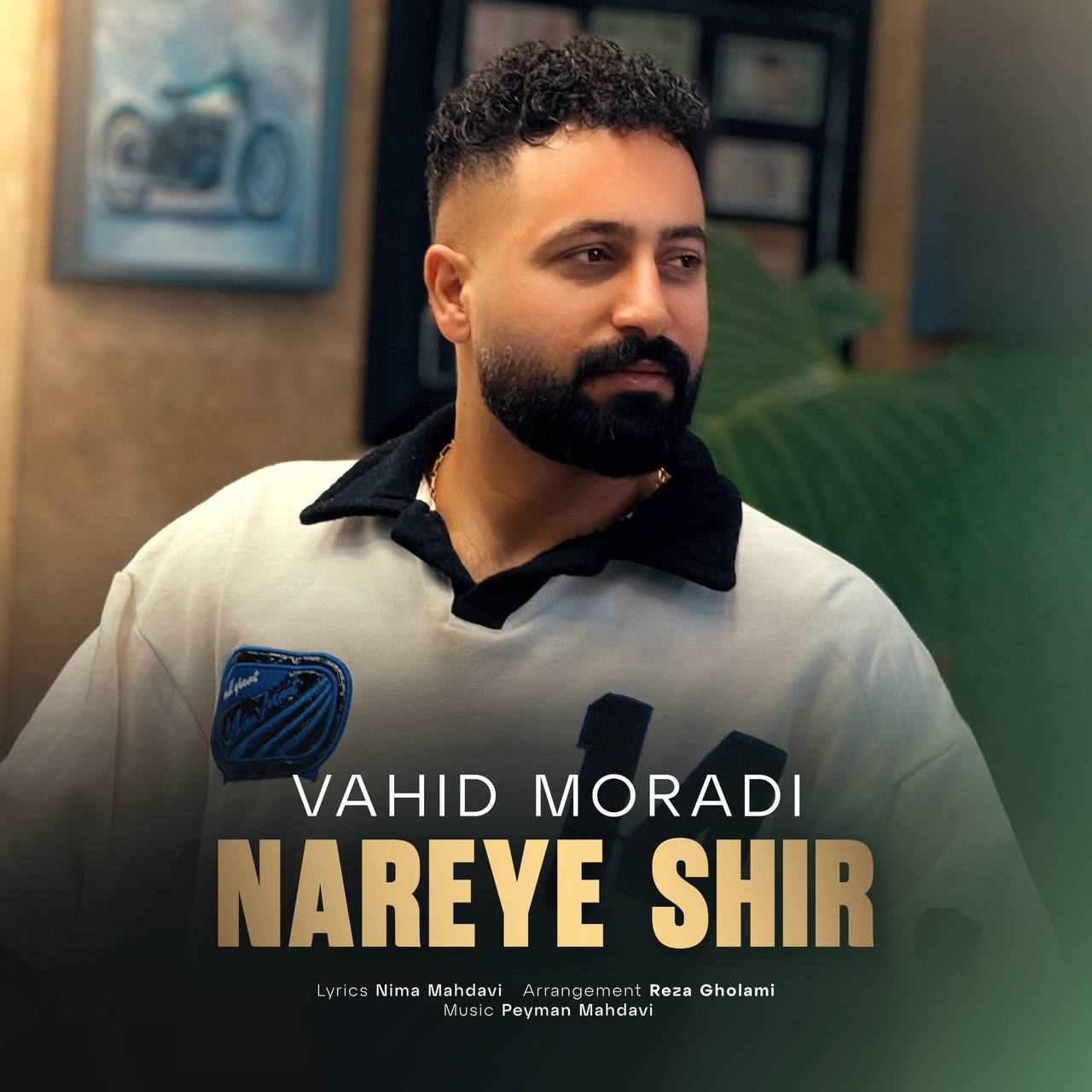 آهنگ جدید وحید مرادی نعره ی شیر